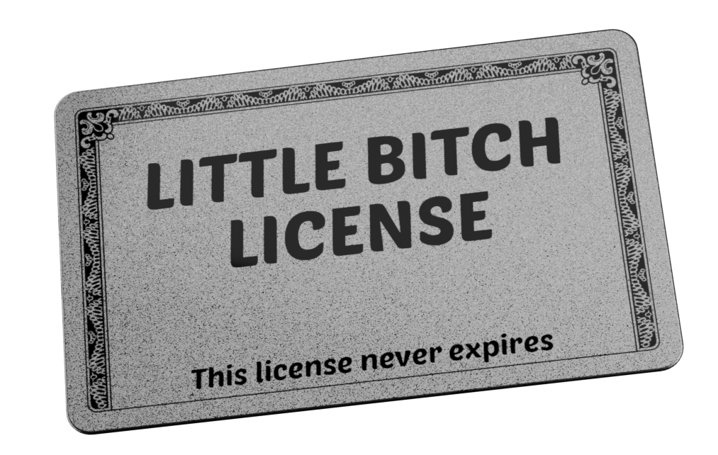 LIttle B**** License